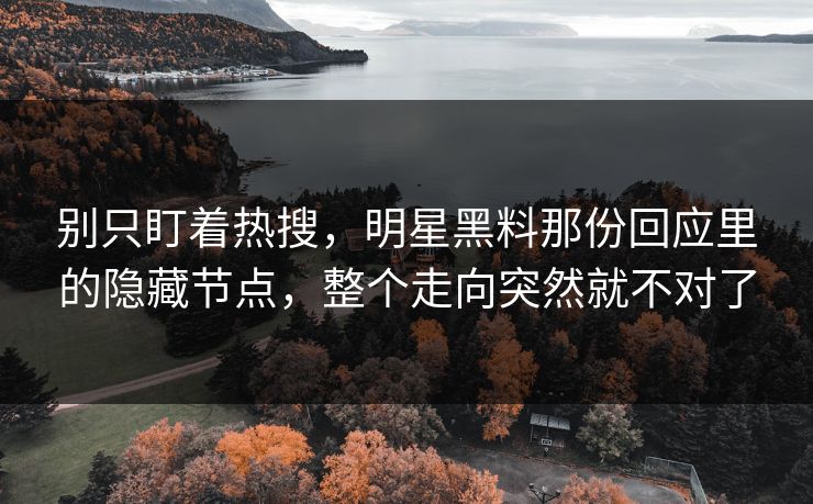 别只盯着热搜,明星黑料那份回应里的隐藏节点,整个走向突然就不对了