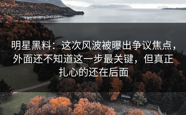 明星黑料:这次风波被曝出争议焦点,外面还不知道这一步最关键,但真正扎心的还在后面