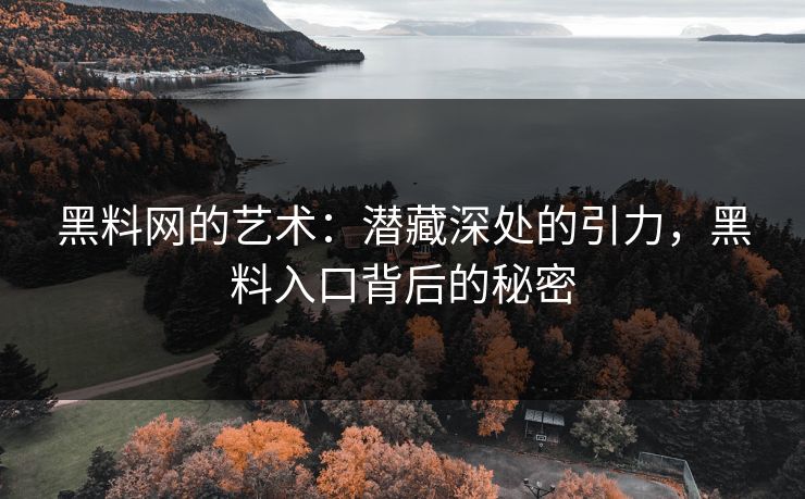 黑料网的艺术：潜藏深处的引力，黑料入口背后的秘密